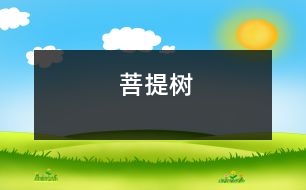 菩提樹