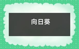 向日葵