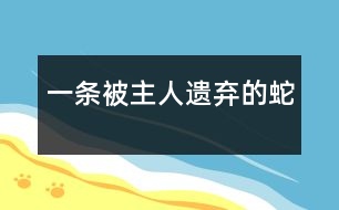 一條被主人遺棄的蛇