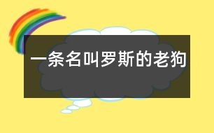 一條名叫羅斯的老狗