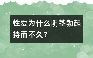 性愛：為什么陰莖勃起持而不久？