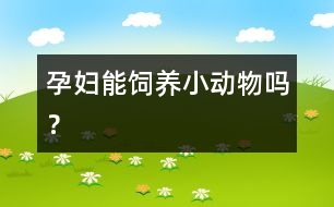 孕婦能飼養(yǎng)小動物嗎？