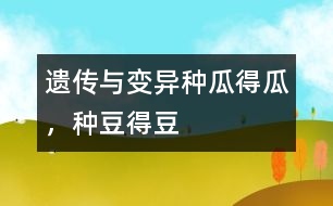 遺傳與變異：種瓜得瓜，種豆得豆