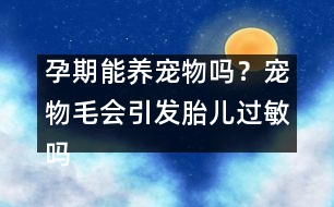 孕期能養(yǎng)寵物嗎？寵物毛會引發(fā)胎兒過敏嗎？