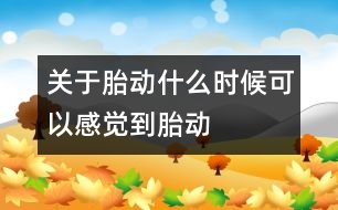 關(guān)于胎動：什么時候可以感覺到胎動