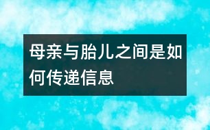 母親與胎兒之間是如何傳遞信息