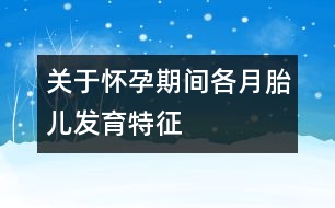 關(guān)于懷孕期間各月胎兒發(fā)育特征