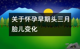 關(guān)于懷孕早期頭三月胎兒變化