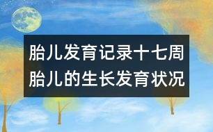 胎兒發(fā)育記錄：十七周胎兒的生長發(fā)育狀況