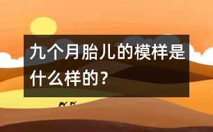 九個月胎兒的模樣是什么樣的？