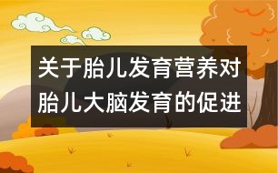 關于胎兒發(fā)育：營養(yǎng)對胎兒大腦發(fā)育的促進