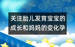 關(guān)注胎兒發(fā)育：寶寶的成長和媽媽的變化（孕八個月）