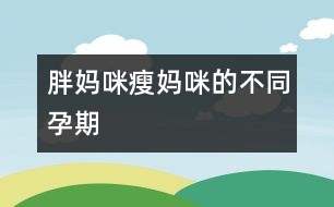 胖媽咪瘦媽咪的不同孕期