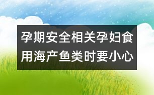 孕期安全相關(guān)：孕婦食用海產(chǎn)魚類時(shí)要小心