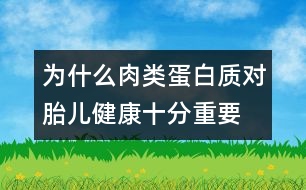 為什么肉類蛋白質(zhì)對胎兒健康十分重要