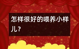 怎樣很好的喂養(yǎng)小樣兒？