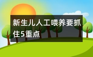 新生兒人工喂養(yǎng)要抓住5重點