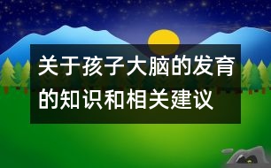 關(guān)于孩子大腦的發(fā)育的知識(shí)和相關(guān)建議