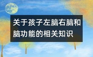 關(guān)于孩子左腦、右腦和腦功能的相關(guān)知識