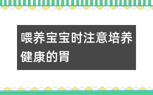 喂養(yǎng)寶寶時(shí)注意培養(yǎng)健康的胃