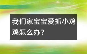 我們家寶寶愛抓小雞雞怎么辦？