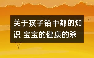 關(guān)于孩子鉛中都的知識(shí) 寶寶的健康的殺手