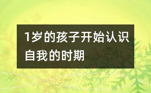 1歲的孩子開始認(rèn)識自我的時期