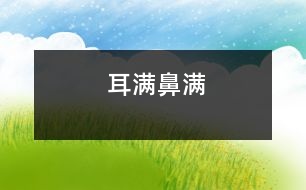 耳滿(mǎn)鼻滿(mǎn)