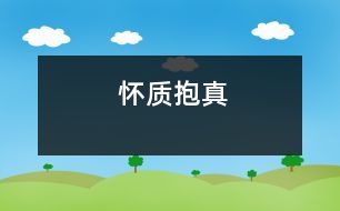 懷質(zhì)抱真