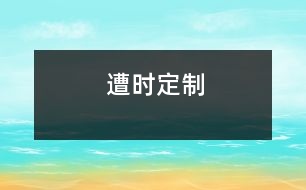 遭時(shí)定制