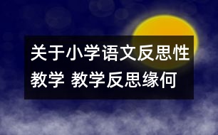 關于小學語文反思性教學 教學反思緣何起？