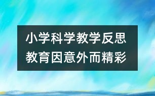 小學科學教學反思 教育因意外而精彩