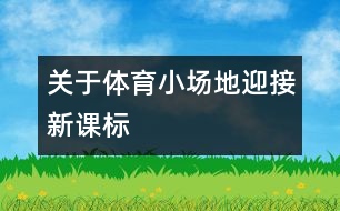 關于體育小場地迎接新課標