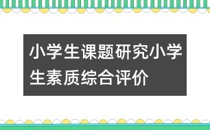 小學(xué)生課題研究：小學(xué)生素質(zhì)綜合評價(jià)