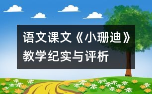 語文課文《小珊迪》教學(xué)紀(jì)實(shí)與評析