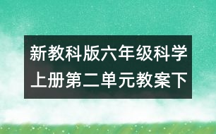 新教科版六年級科學(xué)上冊第二單元教案下