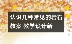 認(rèn)識(shí)幾種常見(jiàn)的巖石教案 教學(xué)設(shè)計(jì)—新教科版四年級(jí)下冊(cè)科學(xué)教案