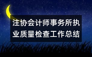 注協(xié)會(huì)計(jì)師事務(wù)所執(zhí)業(yè)質(zhì)量檢查工作總結(jié)