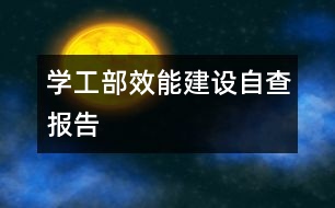 學工部效能建設自查報告