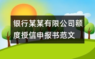 銀行某某有限公司額度授信申報(bào)書范文