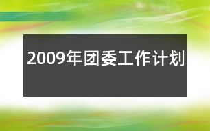 2009年團(tuán)委工作計劃