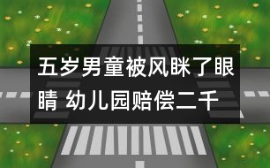 五歲男童被風(fēng)瞇了眼睛 幼兒園賠償二千五