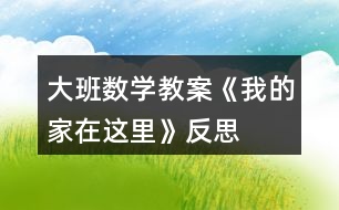 大班數(shù)學(xué)教案《我的家在這里》反思