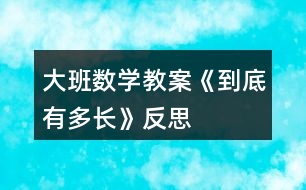 大班數(shù)學(xué)教案《到底有多長(zhǎng)》反思