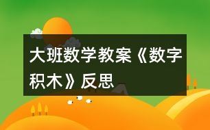 大班數(shù)學(xué)教案《數(shù)字積木》反思