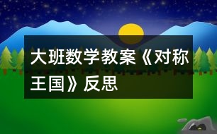 大班數(shù)學(xué)教案《對(duì)稱王國(guó)》反思