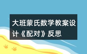 大班蒙氏數(shù)學(xué)教案設(shè)計《配對》反思