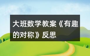 大班數(shù)學教案《有趣的對稱》反思