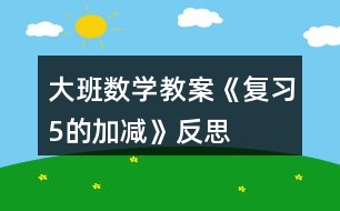 大班數(shù)學(xué)教案《復(fù)習(xí)5的加減》反思