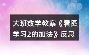 大班數(shù)學教案《看圖學習2的加法》反思